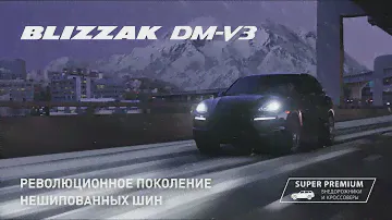 BridgeStone Blizzak DM V3